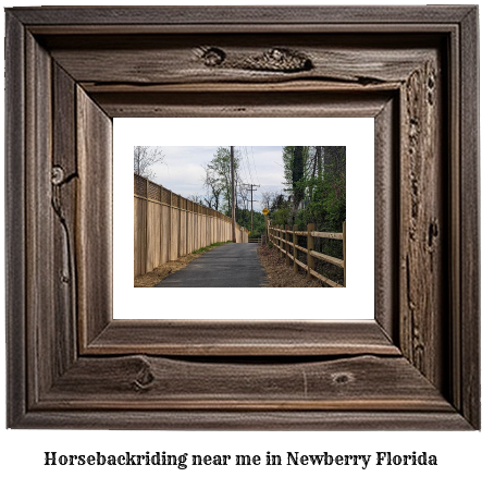 horseback riding near me in Newberry, Florida